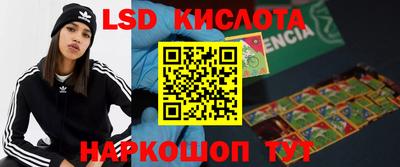 PSILOCYBIN Абакан