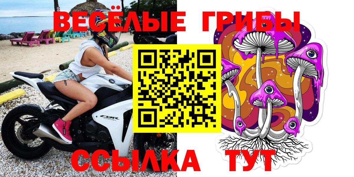 Галлюциногенные грибы Magic Shrooms  Вход с VPN  Амурск 